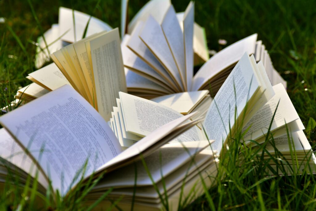 A bunch of books on grass to master Business French Etiquette