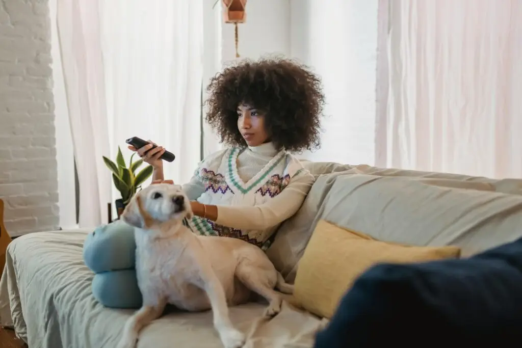 A cozy scene of a woman lounging on a sofa with her dog, watching medical shows on TV with French subtitles, blending relaxation and language learning.