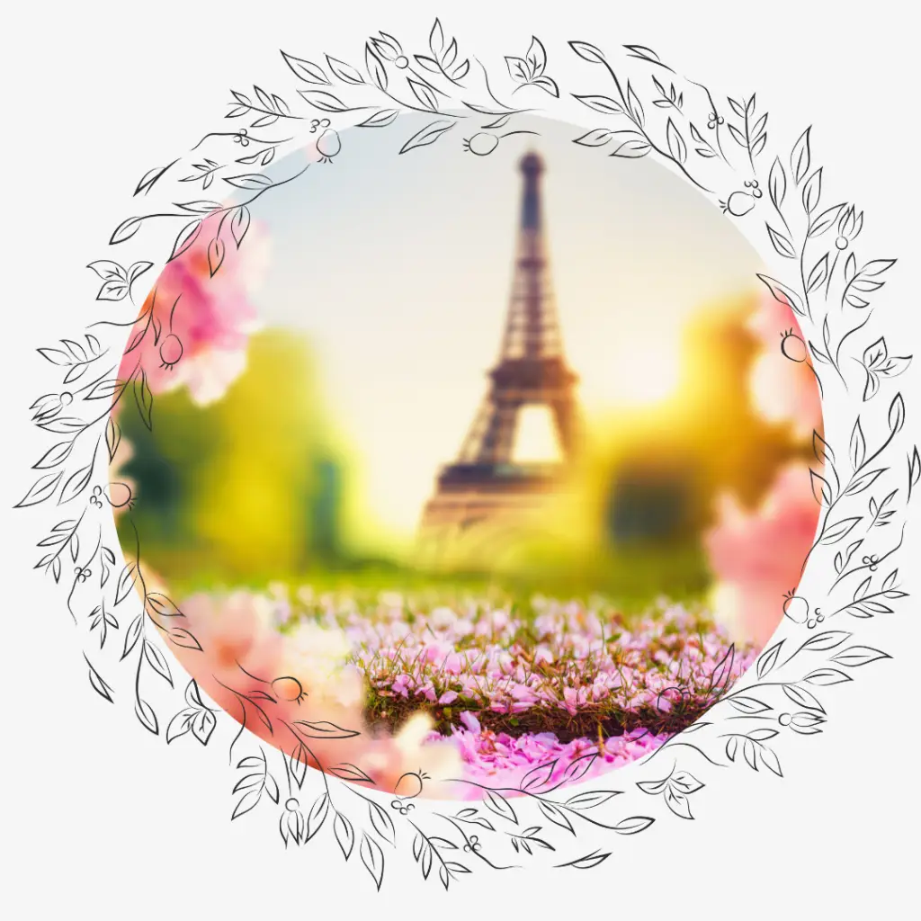 Life in Paris as an American Online French Classes for Expats in Paris or in France