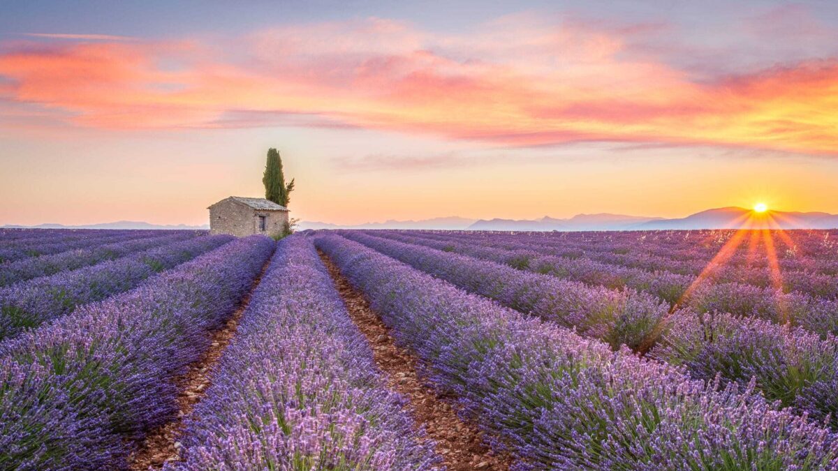perfectly-provence