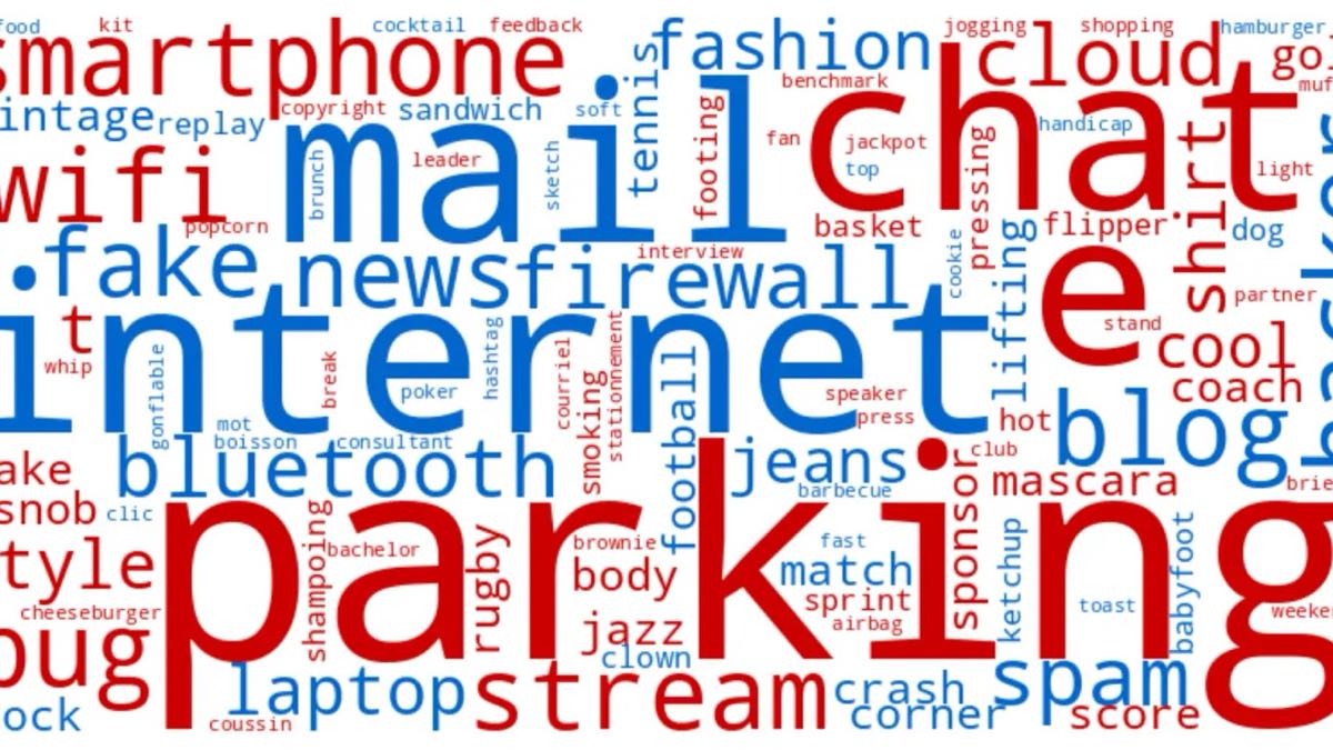 Colorful word cloud of English words used in French.