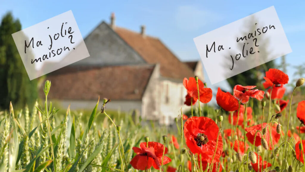 French adjective order lesson with sentence examples.
