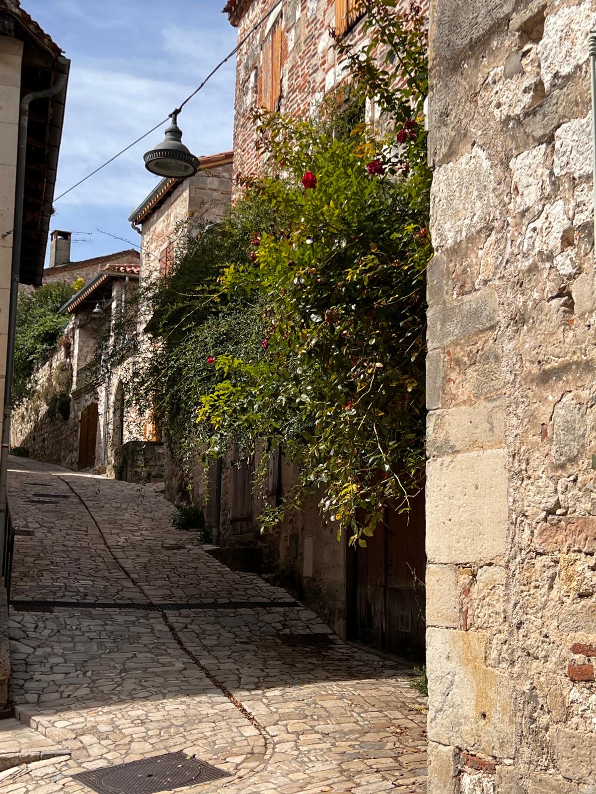 A sunlit cobblestone lane in a French village